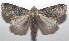  ( - 18-SRNP-103369)  @11 [ ] CreativeCommons  Attribution Non-Commercial Share-Alike (2019) Daniel H. Janzen Guanacaste Dry Forest Conservation Fund