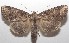  ( - 18-SRNP-103422)  @14 [ ] CreativeCommons  Attribution Non-Commercial Share-Alike (2019) Daniel H. Janzen Guanacaste Dry Forest Conservation Fund