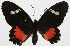  ( - 18-SRNP-20199)  @11 [ ] CreativeCommons  Attribution Non-Commercial Share-Alike (2023) Daniel H. Janzen Guanacaste Dry Forest Conservation Fund