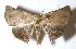  ( - 11-SRNP-81506)  @13 [ ] CreativeCommons  Attribution Non-Commercial Share-Alike (2016) Unspecified Guanacaste Dry Forest Conservation Fund