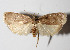  ( - 12-SRNP-193)  @14 [ ] CreativeCommons  Attribution Non-Commercial Share-Alike (2016) Unspecified Guanacaste Dry Forest Conservation Fund