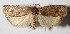  ( - 12-SRNP-194)  @14 [ ] CreativeCommons  Attribution Non-Commercial Share-Alike (2016) Unspecified Guanacaste Dry Forest Conservation Fund