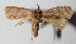  ( - 13-SRNP-1740)  @14 [ ] CreativeCommons  Attribution Non-Commercial Share-Alike (2016) Unspecified Guanacaste Dry Forest Conservation Fund