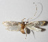  ( - 13-SRNP-1880)  @11 [ ] CreativeCommons  Attribution Non-Commercial Share-Alike (2016) Unspecified Guanacaste Dry Forest Conservation Fund