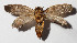  ( - 13-SRNP-31312)  @14 [ ] CreativeCommons  Attribution Non-Commercial Share-Alike (2016) Unspecified Guanacaste Dry Forest Conservation Fund