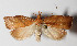  ( - 13-SRNP-35171)  @14 [ ] CreativeCommons  Attribution Non-Commercial Share-Alike (2016) Unspecified Guanacaste Dry Forest Conservation Fund
