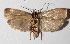  ( - 13-SRNP-57706)  @14 [ ] CreativeCommons  Attribution Non-Commercial Share-Alike (2016) Unspecified Guanacaste Dry Forest Conservation Fund