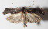  ( - 13-SRNP-79526)  @11 [ ] CreativeCommons  Attribution Non-Commercial Share-Alike (2016) Unspecified Guanacaste Dry Forest Conservation Fund