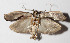  ( - 13-SRNP-79526)  @11 [ ] CreativeCommons  Attribution Non-Commercial Share-Alike (2016) Unspecified Guanacaste Dry Forest Conservation Fund