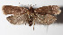 ( - 14-SRNP-2586)  @13 [ ] CreativeCommons  Attribution Non-Commercial Share-Alike (2016) Unspecified Guanacaste Dry Forest Conservation Fund