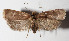  ( - 14-SRNP-42391)  @13 [ ] CreativeCommons  Attribution Non-Commercial Share-Alike (2016) Unspecified Guanacaste Dry Forest Conservation Fund