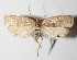  ( - 14-SRNP-547)  @14 [ ] CreativeCommons  Attribution Non-Commercial Share-Alike (2016) Unspecified Guanacaste Dry Forest Conservation Fund