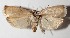  ( - 14-SRNP-76135)  @12 [ ] CreativeCommons  Attribution Non-Commercial Share-Alike (2016) Unspecified Guanacaste Dry Forest Conservation Fund