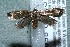  ( - 12-SRNP-85057)  @13 [ ] CreativeCommons  Attribution Non-Commercial Share-Alike (2017) Daniel H. Janzen Guanacaste Dry Forest Conservation Fund