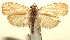  ( - 13-SRNP-100380)  @14 [ ] CreativeCommons  Attribution Non-Commercial Share-Alike (2017) Daniel H. Janzen Guanacaste Dry Forest Conservation Fund