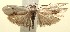  ( - 13-SRNP-100390)  @14 [ ] CreativeCommons  Attribution Non-Commercial Share-Alike (2017) Daniel H. Janzen Guanacaste Dry Forest Conservation Fund