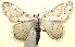  ( - 13-SRNP-100441)  @14 [ ] CreativeCommons  Attribution Non-Commercial Share-Alike (2017) Daniel H. Janzen Guanacaste Dry Forest Conservation Fund