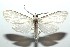  ( - 13-SRNP-100573)  @14 [ ] CreativeCommons  Attribution Non-Commercial Share-Alike (2017) Daniel H. Janzen Guanacaste Dry Forest Conservation Fund