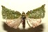 ( - 13-SRNP-100751)  @13 [ ] CreativeCommons  Attribution Non-Commercial Share-Alike (2017) Daniel H. Janzen Guanacaste Dry Forest Conservation Fund