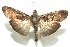  ( - 13-SRNP-100916)  @14 [ ] CreativeCommons  Attribution Non-Commercial Share-Alike (2017) Daniel H. Janzen Guanacaste Dry Forest Conservation Fund
