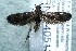  ( - 13-SRNP-40513)  @13 [ ] CreativeCommons  Attribution Non-Commercial Share-Alike (2017) Daniel H. Janzen Guanacaste Dry Forest Conservation Fund