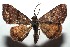  ( - 14-SRNP-105642)  @14 [ ] CreativeCommons  Attribution Non-Commercial Share-Alike (2016) Unspecified Guanacaste Dry Forest Conservation Fund