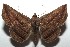  ( - 14-SRNP-105665)  @14 [ ] CreativeCommons  Attribution Non-Commercial Share-Alike (2016) Unspecified Guanacaste Dry Forest Conservation Fund