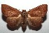  ( - 14-SRNP-105678)  @14 [ ] CreativeCommons  Attribution Non-Commercial Share-Alike (2016) Unspecified Guanacaste Dry Forest Conservation Fund