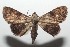  ( - 14-SRNP-105707)  @13 [ ] CreativeCommons  Attribution Non-Commercial Share-Alike (2016) Unspecified Guanacaste Dry Forest Conservation Fund