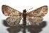  ( - 14-SRNP-105758)  @11 [ ] CreativeCommons  Attribution Non-Commercial Share-Alike (2016) Unspecified Guanacaste Dry Forest Conservation Fund
