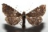 ( - 14-SRNP-105763)  @13 [ ] CreativeCommons  Attribution Non-Commercial Share-Alike (2016) Unspecified Guanacaste Dry Forest Conservation Fund