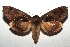  ( - 14-SRNP-105777)  @15 [ ] CreativeCommons  Attribution Non-Commercial Share-Alike (2016) Unspecified Guanacaste Dry Forest Conservation Fund