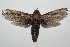  ( - 14-SRNP-105787)  @13 [ ] CreativeCommons  Attribution Non-Commercial Share-Alike (2016) Unspecified Guanacaste Dry Forest Conservation Fund