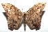  ( - 14-SRNP-105794)  @14 [ ] CreativeCommons  Attribution Non-Commercial Share-Alike (2016) Unspecified Guanacaste Dry Forest Conservation Fund
