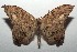  ( - 14-SRNP-105797)  @14 [ ] CreativeCommons  Attribution Non-Commercial Share-Alike (2016) Unspecified Guanacaste Dry Forest Conservation Fund