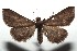  ( - 14-SRNP-105868)  @13 [ ] CreativeCommons  Attribution Non-Commercial Share-Alike (2016) Unspecified Guanacaste Dry Forest Conservation Fund