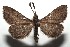  ( - 14-SRNP-105869)  @13 [ ] CreativeCommons  Attribution Non-Commercial Share-Alike (2016) Unspecified Guanacaste Dry Forest Conservation Fund