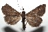  ( - 14-SRNP-105870)  @13 [ ] CreativeCommons  Attribution Non-Commercial Share-Alike (2016) Unspecified Guanacaste Dry Forest Conservation Fund