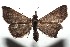  ( - 14-SRNP-105872)  @13 [ ] CreativeCommons  Attribution Non-Commercial Share-Alike (2016) Unspecified Guanacaste Dry Forest Conservation Fund