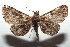  ( - 14-SRNP-105879)  @13 [ ] CreativeCommons  Attribution Non-Commercial Share-Alike (2016) Unspecified Guanacaste Dry Forest Conservation Fund