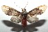  ( - 14-SRNP-105932)  @14 [ ] CreativeCommons  Attribution Non-Commercial Share-Alike (2016) Unspecified Guanacaste Dry Forest Conservation Fund