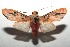  ( - 14-SRNP-105936)  @14 [ ] CreativeCommons  Attribution Non-Commercial Share-Alike (2016) Unspecified Guanacaste Dry Forest Conservation Fund