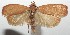  ( - 14-SRNP-105973)  @13 [ ] CreativeCommons  Attribution Non-Commercial Share-Alike (2016) Unspecified Guanacaste Dry Forest Conservation Fund