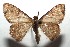  ( - 14-SRNP-106034)  @14 [ ] CreativeCommons  Attribution Non-Commercial Share-Alike (2016) Unspecified Guanacaste Dry Forest Conservation Fund