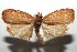  ( - 14-SRNP-106056)  @13 [ ] CreativeCommons  Attribution Non-Commercial Share-Alike (2016) Unspecified Guanacaste Dry Forest Conservation Fund