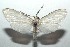  ( - 14-SRNP-106097)  @14 [ ] CreativeCommons  Attribution Non-Commercial Share-Alike (2016) Unspecified Guanacaste Dry Forest Conservation Fund