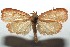  ( - 14-SRNP-106145)  @14 [ ] CreativeCommons  Attribution Non-Commercial Share-Alike (2016) Unspecified Guanacaste Dry Forest Conservation Fund