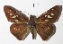  ( - 14-SRNP-43844)  @14 [ ] CreativeCommons  Attribution Non-Commercial Share-Alike (2016) Unspecified Guanacaste Dry Forest Conservation Fund