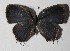  ( - 14-SRNP-71055)  @13 [ ] CreativeCommons  Attribution Non-Commercial Share-Alike (2016) Unspecified Guanacaste Dry Forest Conservation Fund