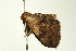  ( - BL1077)  @12 [ ] CreativeCommons - Attribution (2009) Unspecified Centre for Biodiversity Genomics